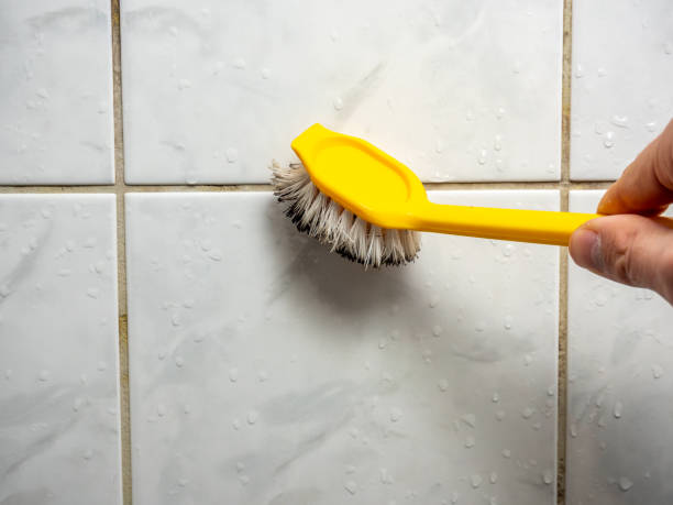Best Bathroom Mold Remediation in Chariton, IA